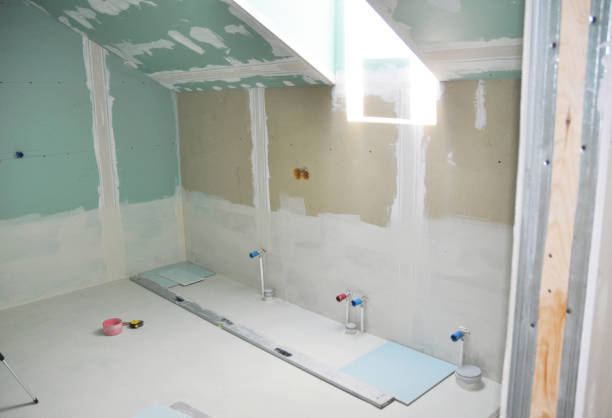Best Comprehensive Air Testing for Mold Contaminants  in South Holland, IL