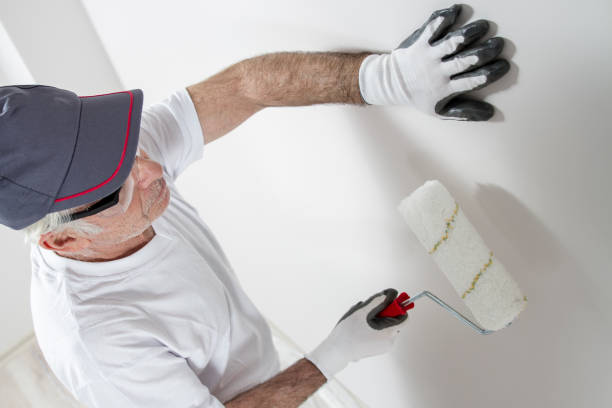 Best Mold Prevention Services  in South Holland, IL