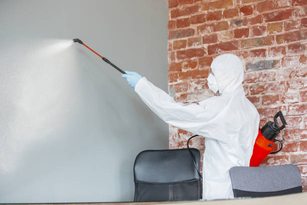 Best Commercial Mold Inspection  in South Holland, IL