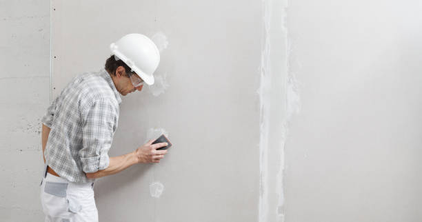 Best Asbestos and Lead Testing During Mold Inspection  in South Holland, IL