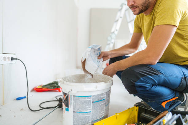 Best Mold Odor Removal Services  in South Holland, IL