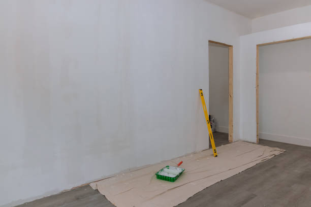 South Holland, IL Mold Removal Company