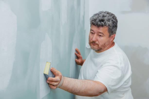 Best Industrial Mold Remediation  in South Holland, IL