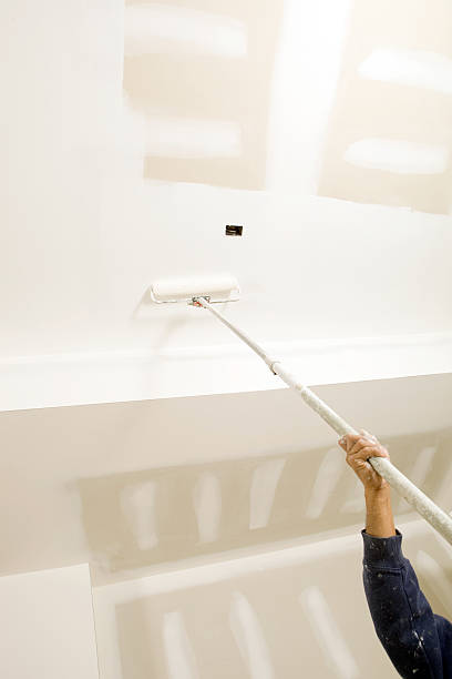 Best Mold Documentation for Insurance Claims  in South Holland, IL