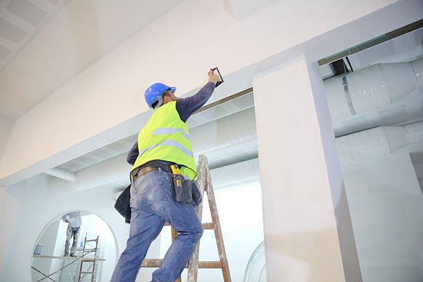 Mold Odor Removal Services in South Holland, IL
