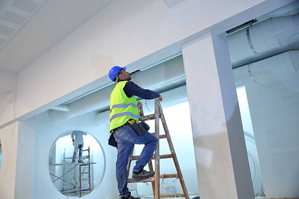 Best Basement Mold Removal  in South Holland, IL