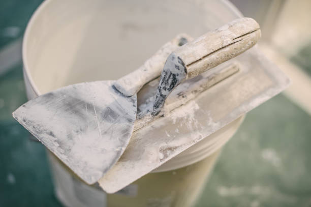 Best Mold Remediation for Healthcare Facilities  in South Holland, IL