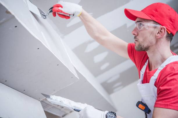 Best Real Estate Mold Inspection  in South Holland, IL
