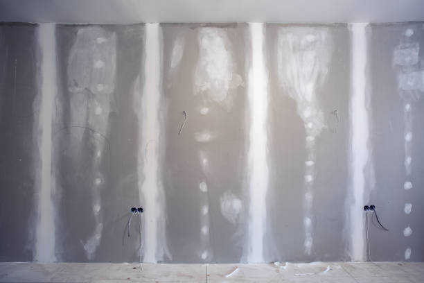 Best Mold Removal for HVAC Installations  in South Holland, IL